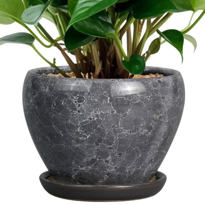 Ceramic Modern Glaze Succulent Planter Pot with Drainage Hole and Saucer 6 Inch Round Flower Plant Pot for Indoor Outdoor Herb Snake Plants