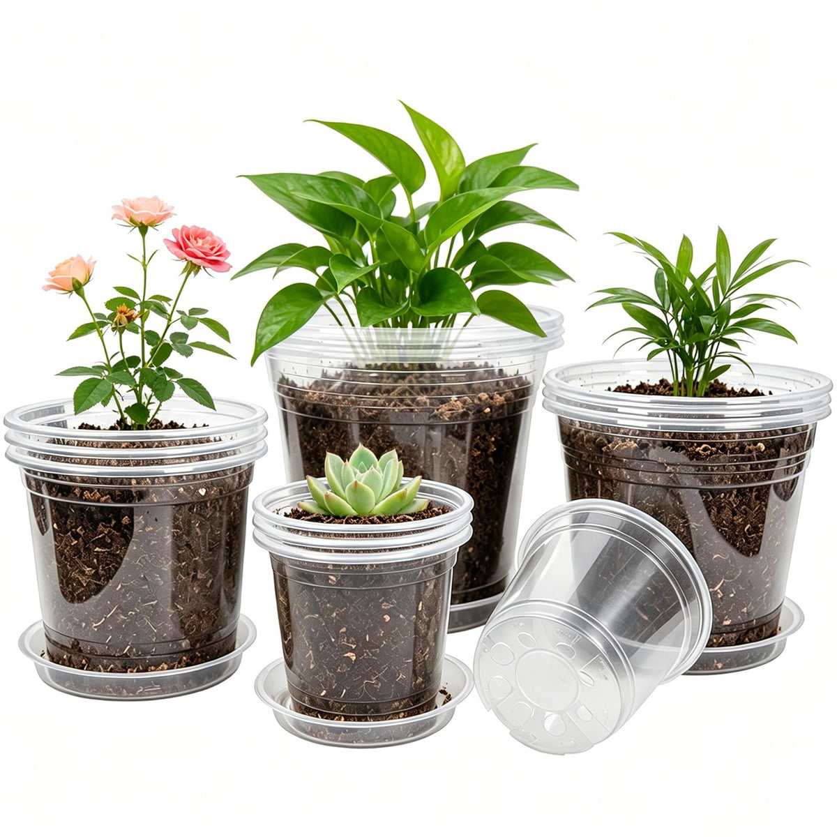 4/5/6/7 Inch 20 Pack Clear Plastic Nursery Pots with Drainage and Saucer