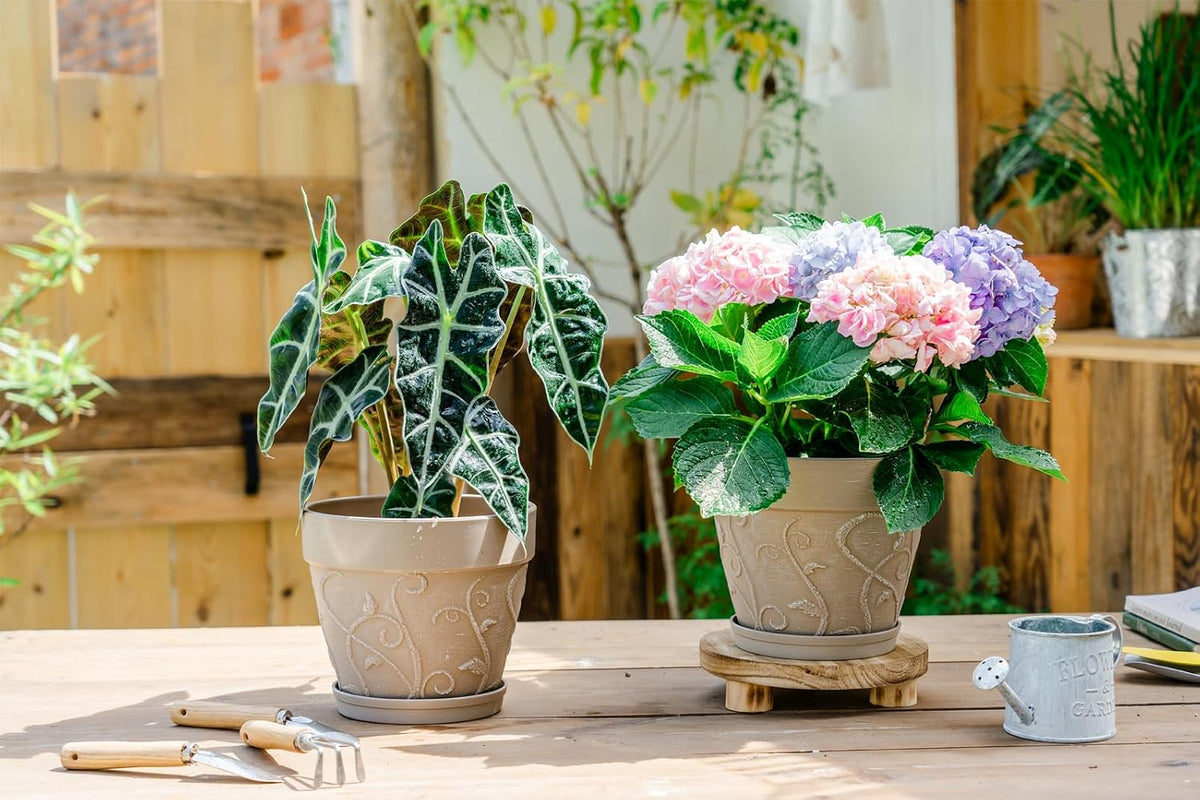 Melphoe Plant Pots Indoor with Drainage & Saucer, 2Pack 7 inch Flower Pots Outdoor Planters for Indoor Plants Garden Home Decor Cactus Succulent, Rigid Plastic (Imitation-Terracotta) Vine-Embossed