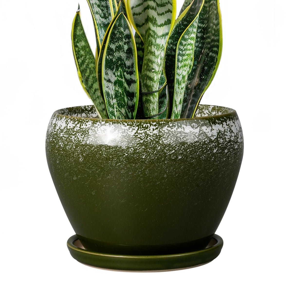 Ceramic Modern Glaze Succulent Planter Pot with Drainage Hole and Saucer 6 Inch Round Flower Plant Pot for Indoor Outdoor Herb Snake Plants