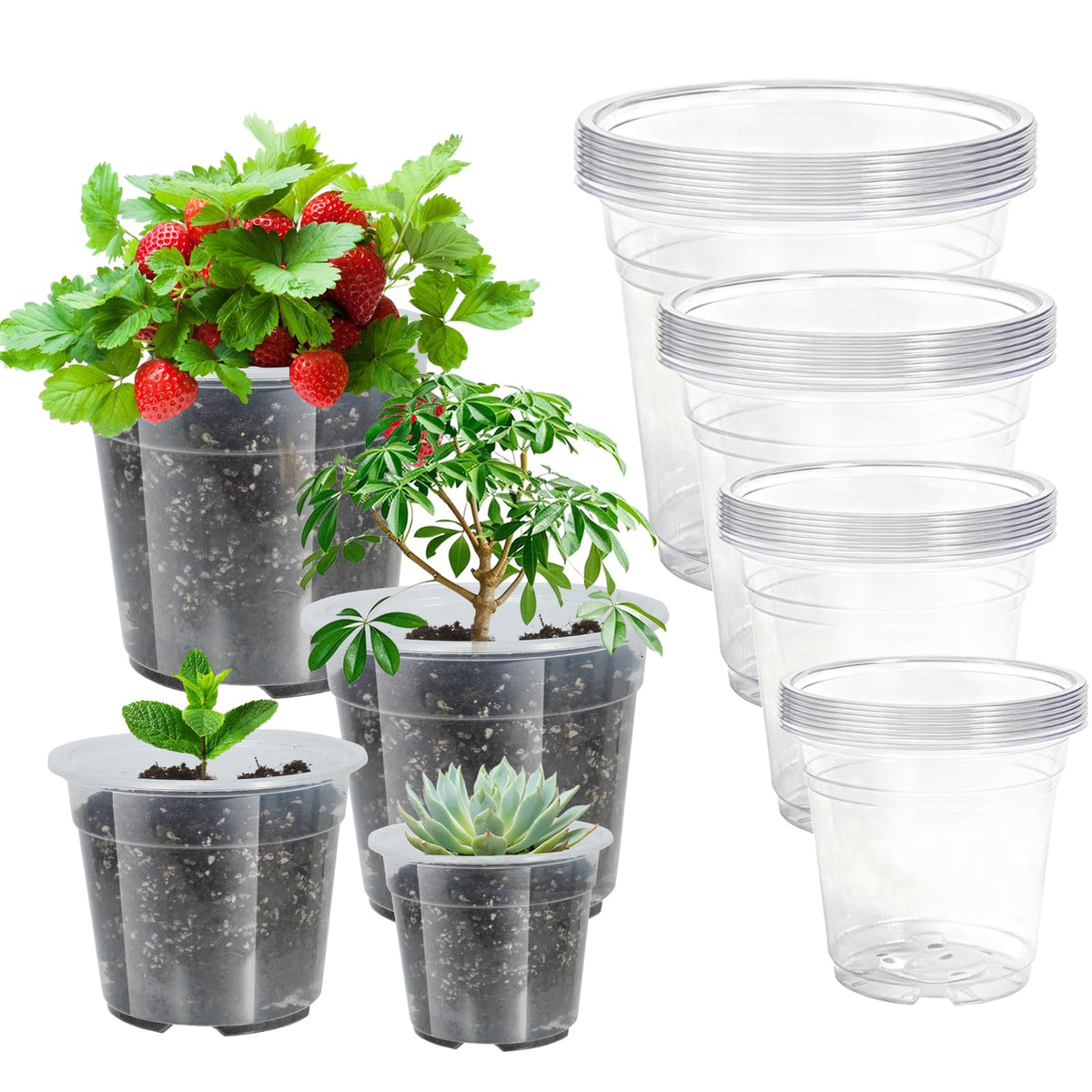 50 Pcs 2 Gallon Nursery Pots,Thickened Soft Plastic Plant Pots with Holes,Garden Flower Seedling Pot Container for Seedling,Cuttings,Transplanting (Black)