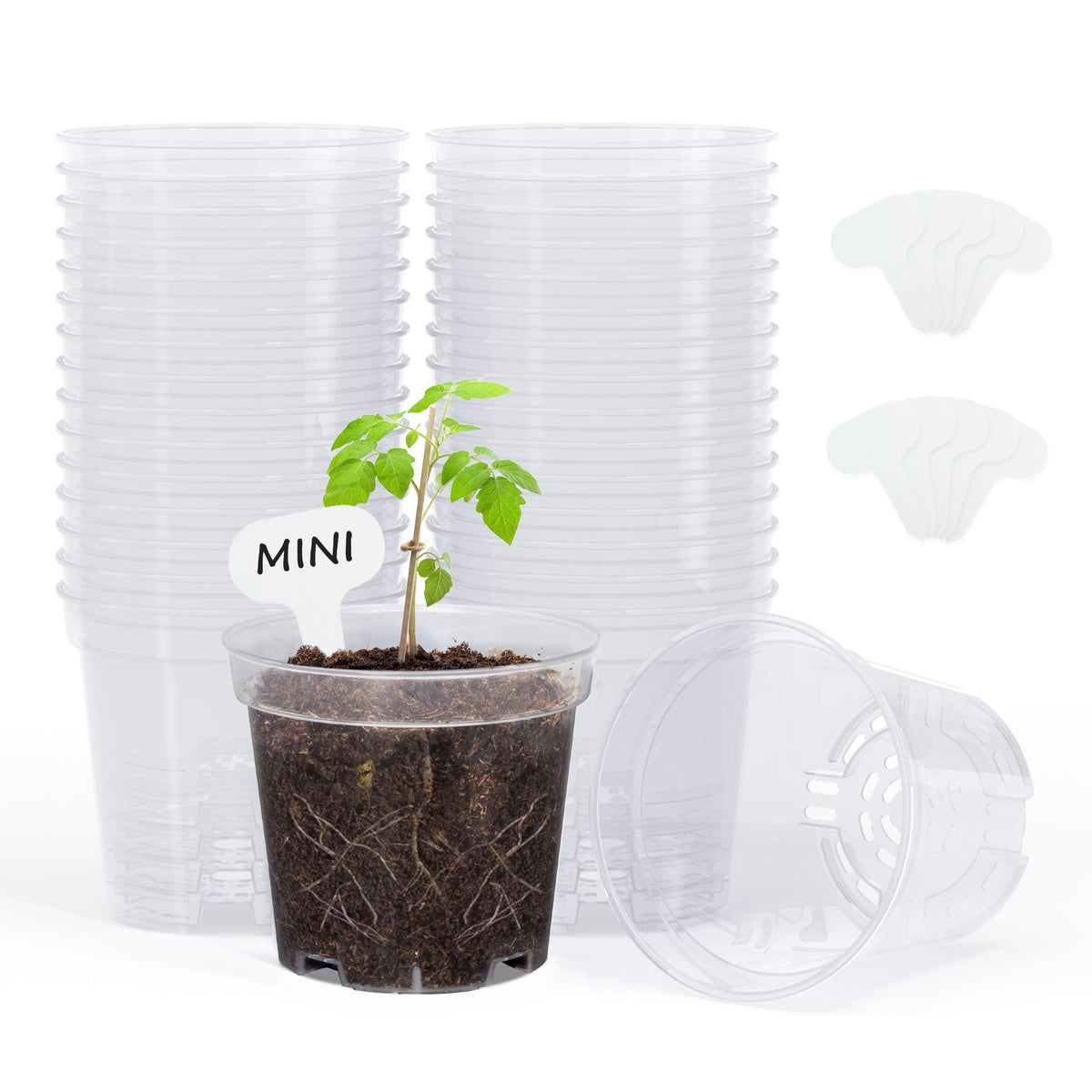 homenote 3/4/5/6.7 Inch Clear PP Nursery Pots with Drainage Holes (36 Pcs)