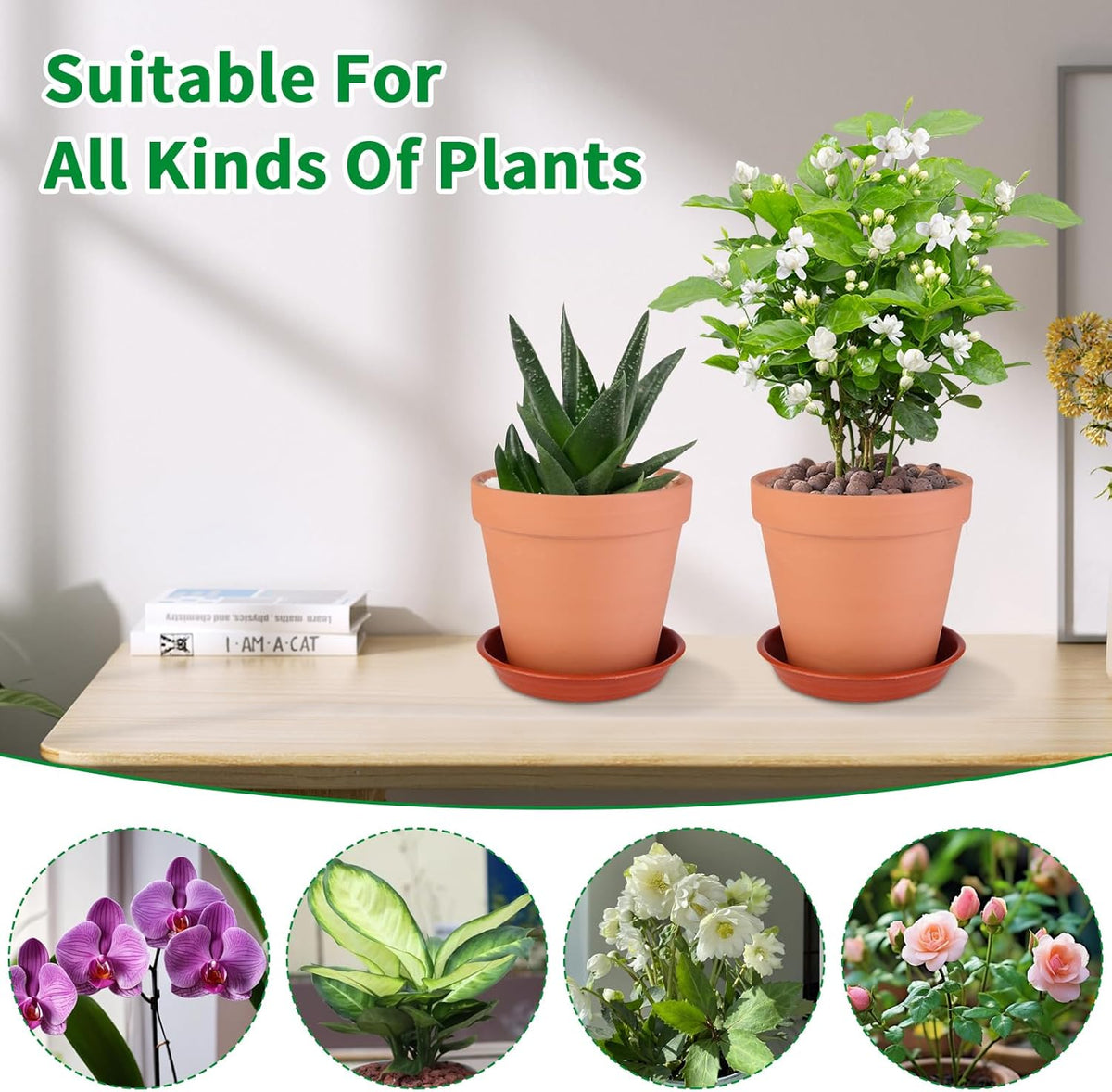 6 Pack 6 Inch Terracotta & Clay Pots with Plastic Saucer for Plants