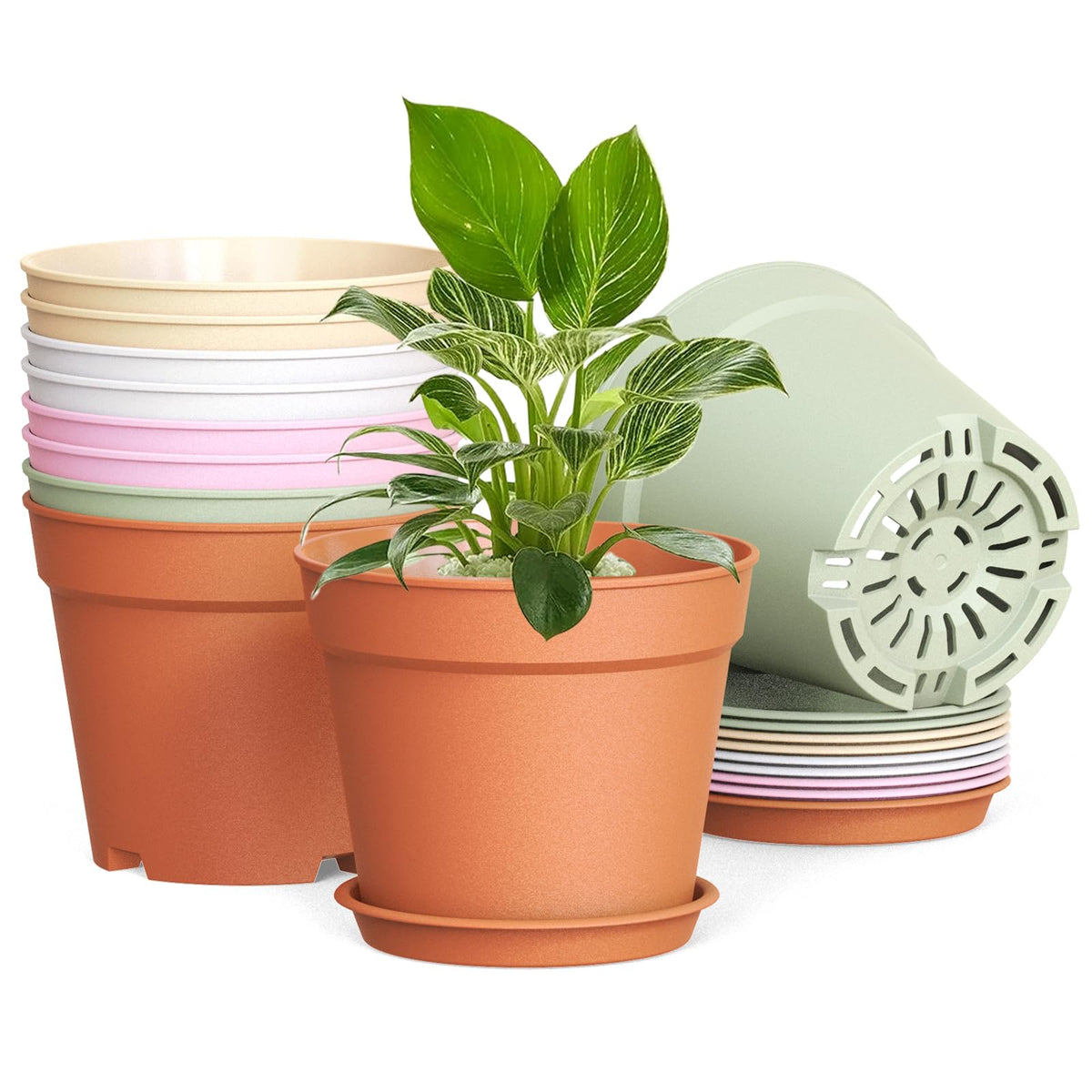 10 Pack 6 Inch Plant Pots with Drainage and Saucers, White Plastic Flower Pots for Indoor and Outdoor Plants, Stackable Nursery Planters for Houseplants and Herbs, White