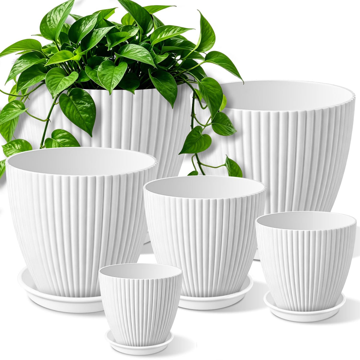 SupKing Plant Pots with Drainage Saucers 7.5/6.7/6/5/4/3.5 Inch Set of 6,Plastic Flower Pots Planters with Multi Mesh Drainage Holes Multicolor Nursery Planting Pot for Indoor Outdoor Garden Plants