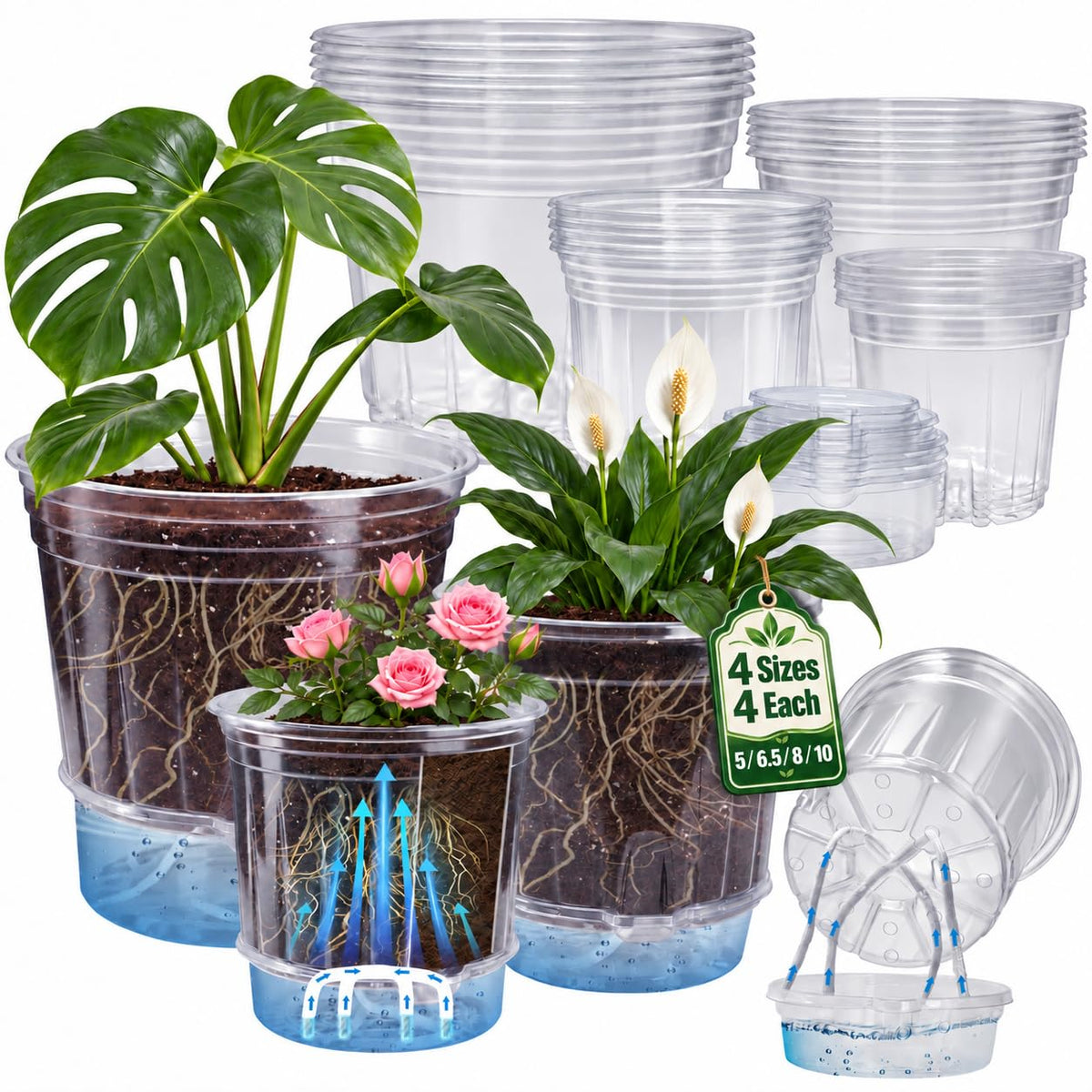 Bluepro Clear Nursery Pots with Drainage Holes, 3.5/4/5 Inch, 36-Pack