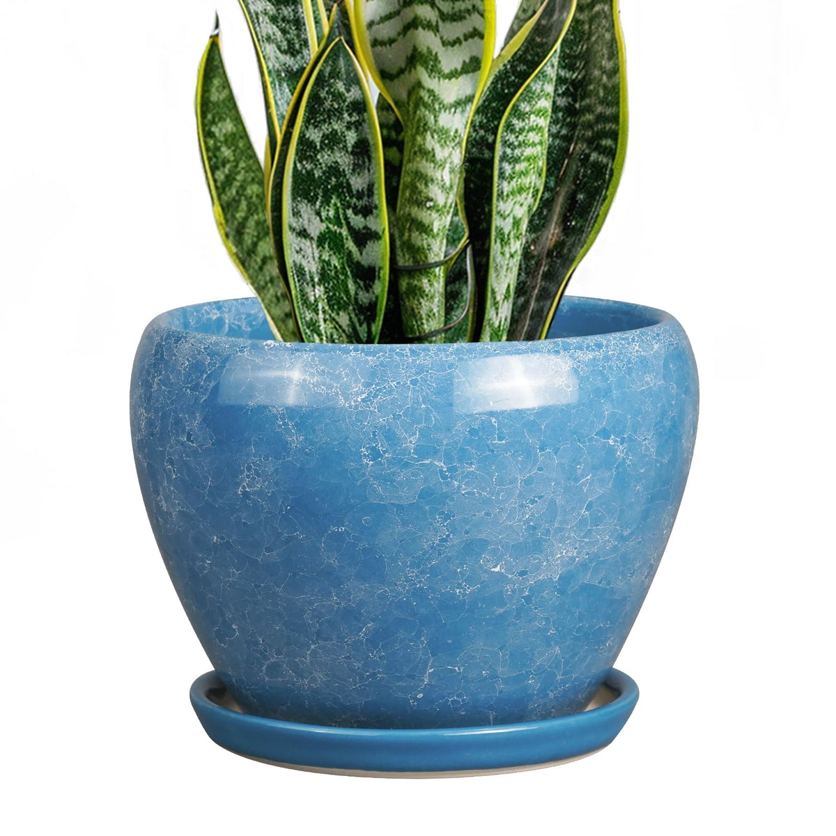 Ceramic Modern Glaze Succulent Planter Pot with Drainage Hole and Saucer 6 Inch Round Flower Plant Pot for Indoor Outdoor Herb Snake Plants