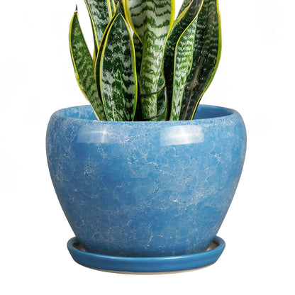 Ceramic Modern Glaze Succulent Planter Pot with Drainage Hole and Saucer 6 Inch Round Flower Plant Pot for Indoor Outdoor Herb Snake Plants
