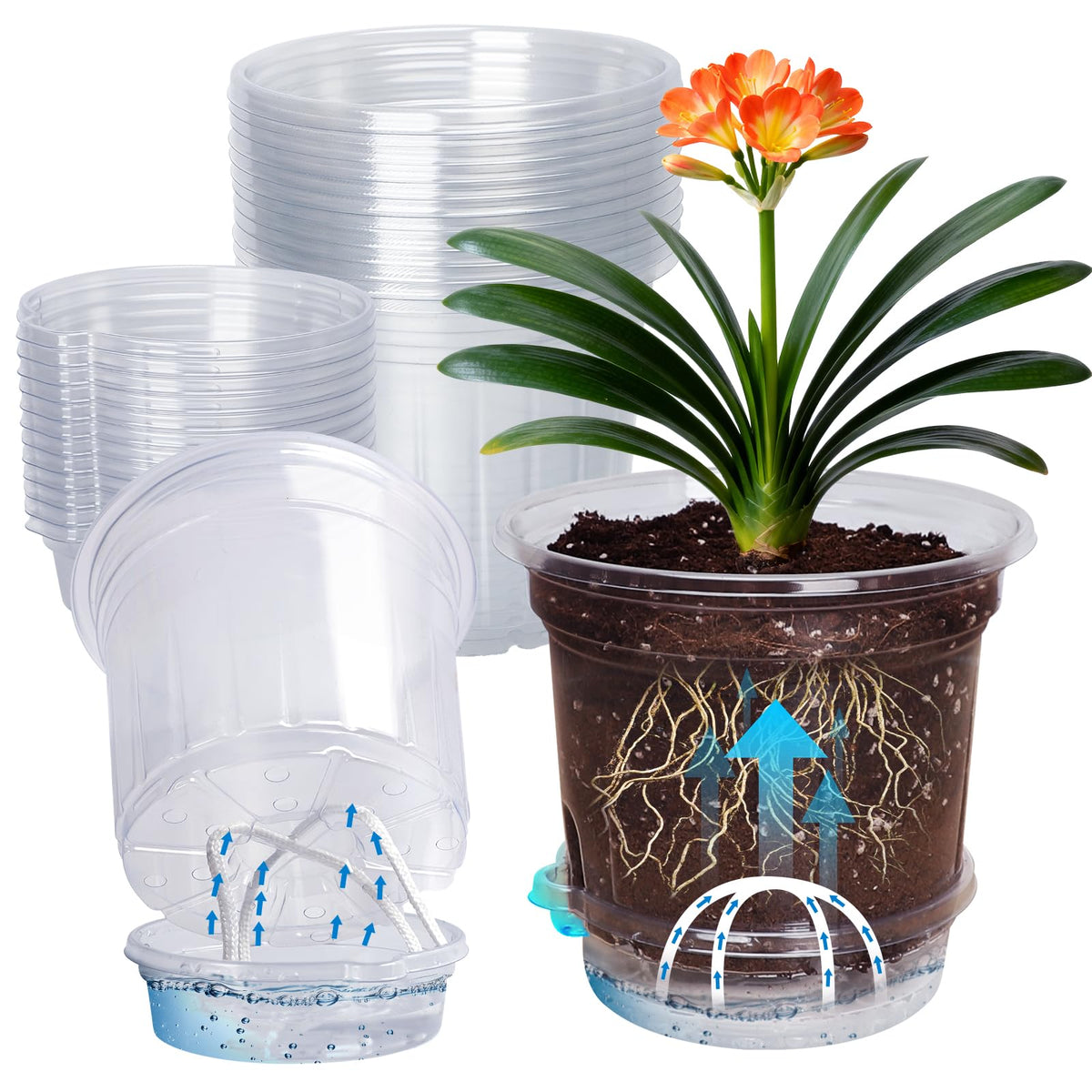MIXC 18 Pack 6.5/5/4 Inch Self Watering Pots for Indoor Plants-Clear