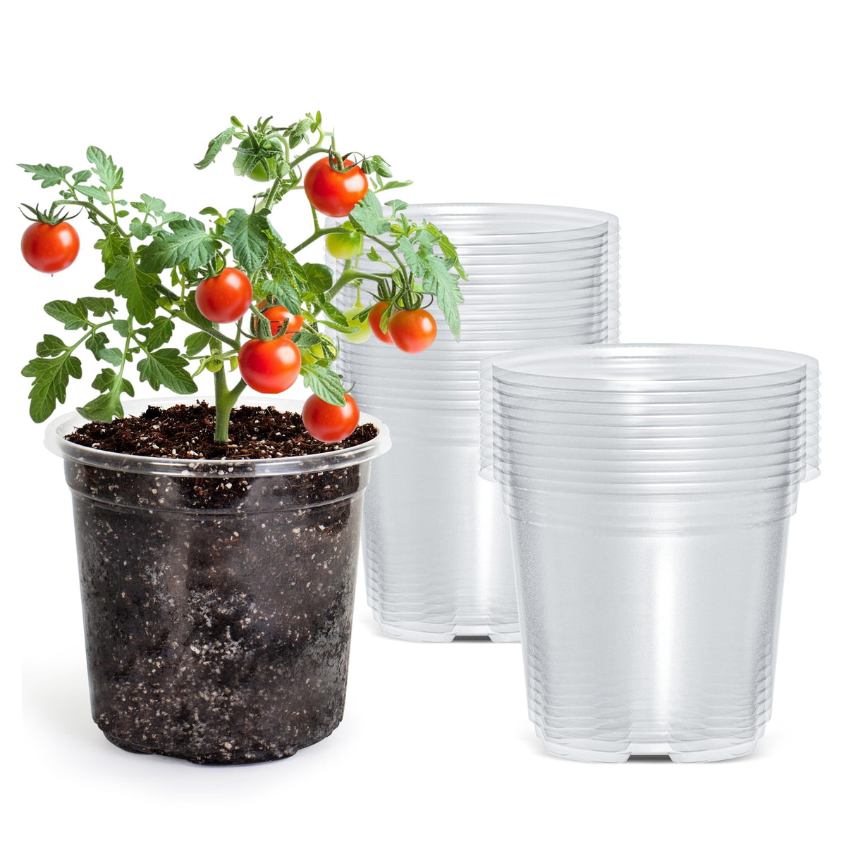 Bluepro Clear Nursery Pots with Drainage Holes, 3.5/4/5 Inch, 36-Pack