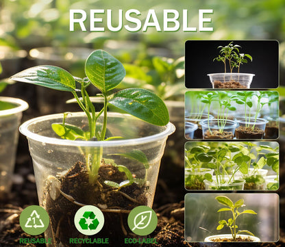 30 Pack Clear Nursery Plant Pots, 3.5/4/5 In with Drainage Holes, 20 Labels