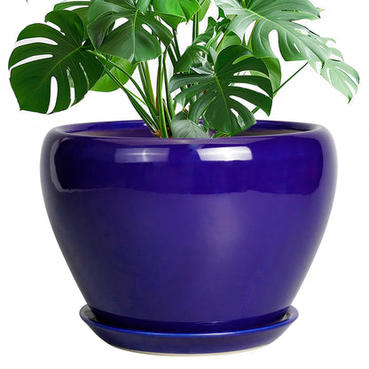 Ceramic Modern Glaze Succulent Planter Pot with Drainage Hole and Saucer 6 Inch Round Flower Plant Pot for Indoor Outdoor Herb Snake Plants
