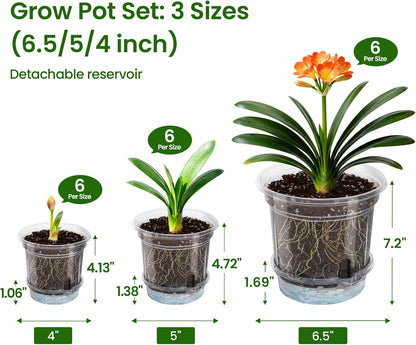 MIXC 18 Pack 6.5/5/4 Inch Self Watering Pots for Indoor Plants-Clear