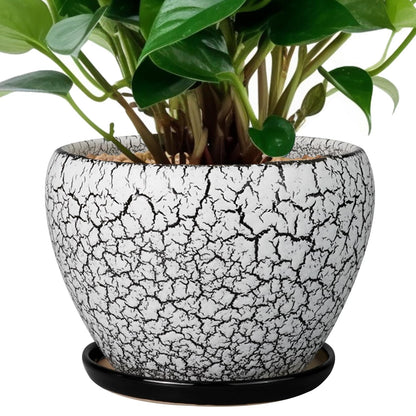 Ceramic Modern Glaze Succulent Planter Pot with Drainage Hole and Saucer 6 Inch Round Flower Plant Pot for Indoor Outdoor Herb Snake Plants