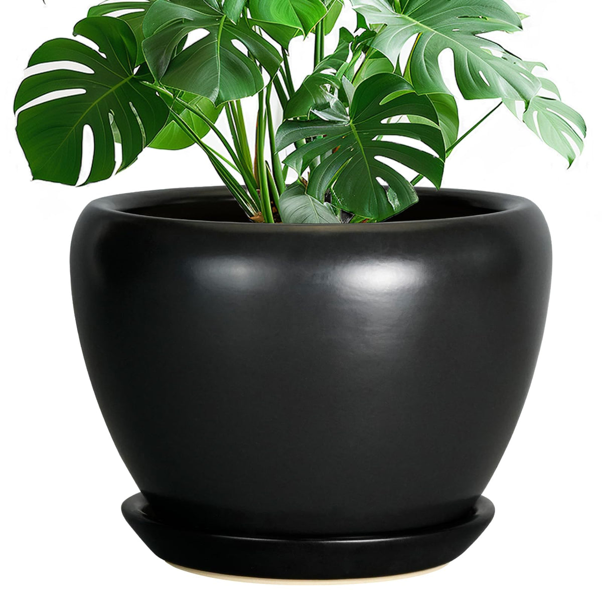 Ceramic Modern Glaze Succulent Planter Pot with Drainage Hole and Saucer 6 Inch Round Flower Plant Pot for Indoor Outdoor Herb Snake Plants