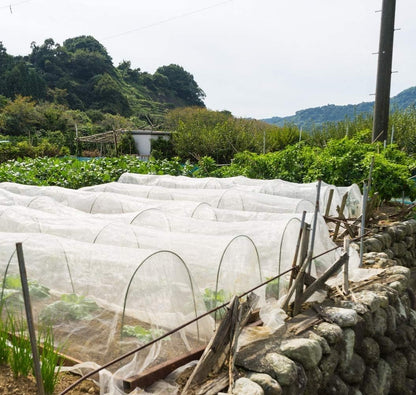 Garden Netting Pest Barrier: 10'x30' Fine Bug Insect Net
