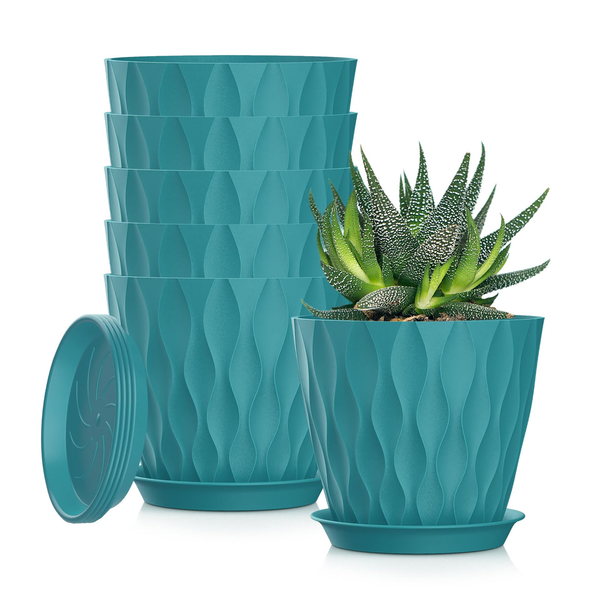 4 Inch Plant Pots, 6 Pack Indoor Flower Pots, Planters with Drainage Holes and Trays for Orchids, Violets, Succulents, Herbs, and Other Plants,Corolful