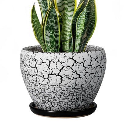 Ceramic Modern Glaze Succulent Planter Pot with Drainage Hole and Saucer 6 Inch Round Flower Plant Pot for Indoor Outdoor Herb Snake Plants