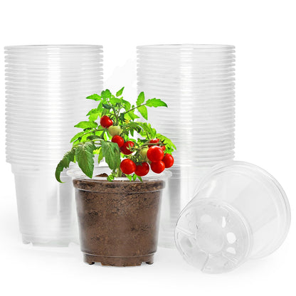 JNYONG 60 Pack 3.5/4/5/6/7 Inch Clear Nursery Pots with Drainage Hole
