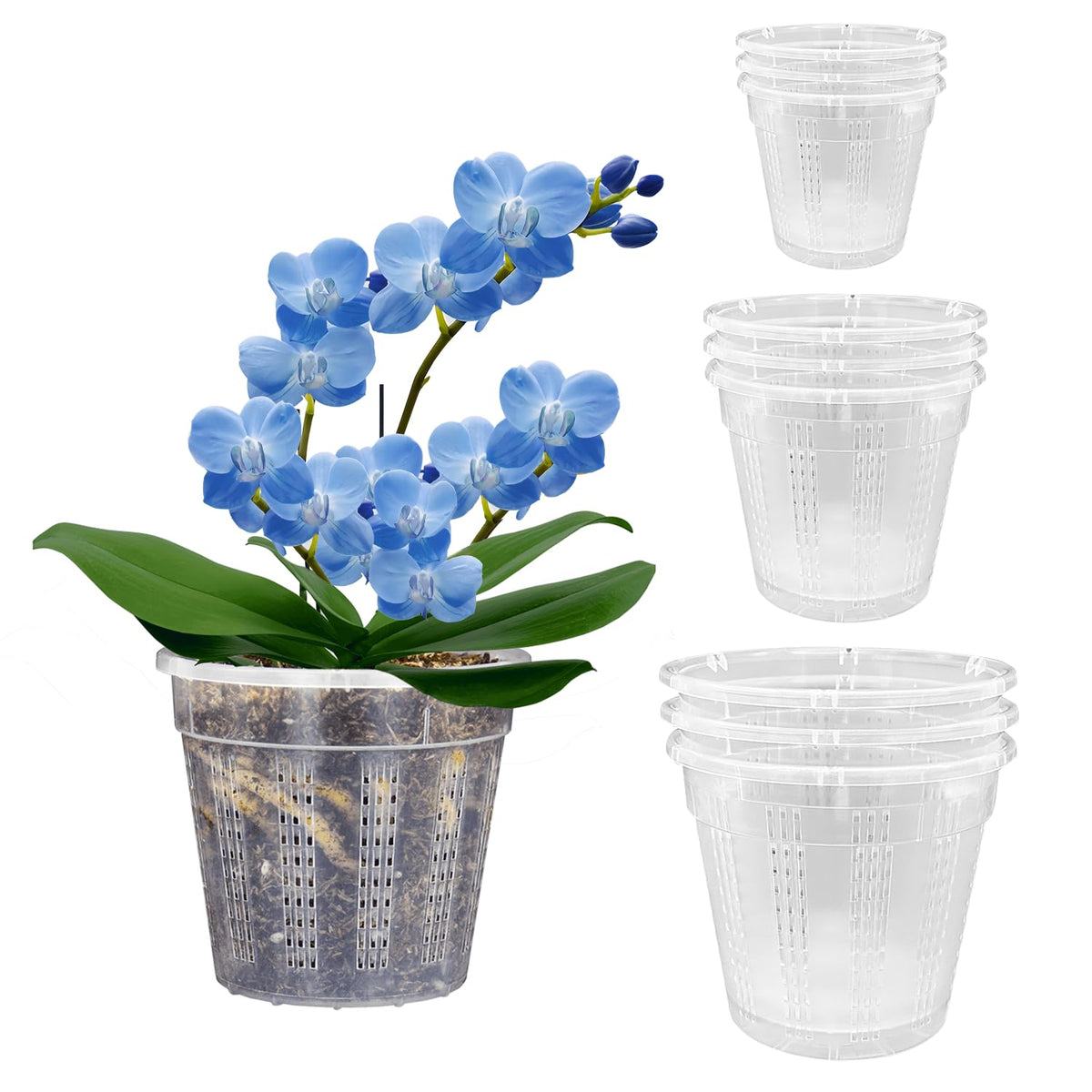 Orchid Pot, 2 Each of 4.3",5.5",6.1" Orchid Pots with Holes, Orchid Pots for Repotting, Plastic Orchid Planter for Indoor Outdoor Plants (2 Each of 4.3",5.5",6.1")