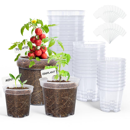 homenote 3/4/5/6.7 Inch Clear PP Nursery Pots with Drainage Holes (36 Pcs)