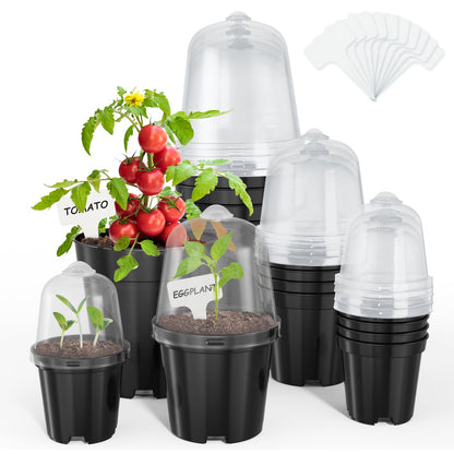 homenote 3/4/5/6.7 Inch Clear PP Nursery Pots with Drainage Holes (36 Pcs)