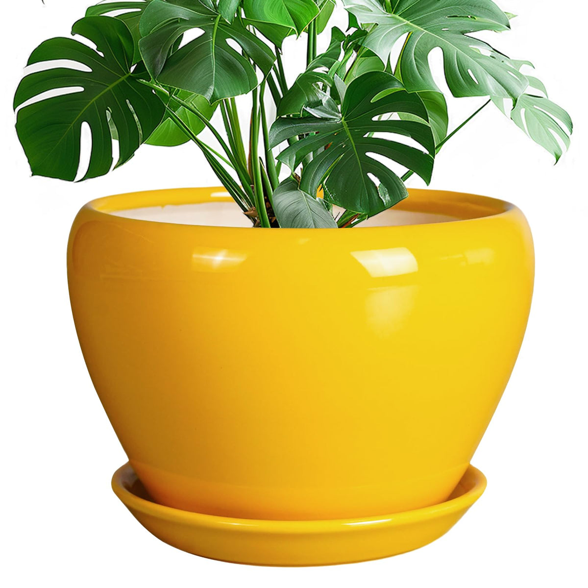 Ceramic Modern Glaze Succulent Planter Pot with Drainage Hole and Saucer 6 Inch Round Flower Plant Pot for Indoor Outdoor Herb Snake Plants