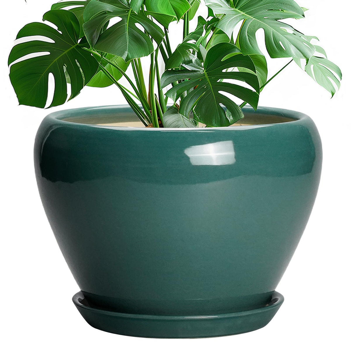 Ceramic Modern Glaze Succulent Planter Pot with Drainage Hole and Saucer 6 Inch Round Flower Plant Pot for Indoor Outdoor Herb Snake Plants