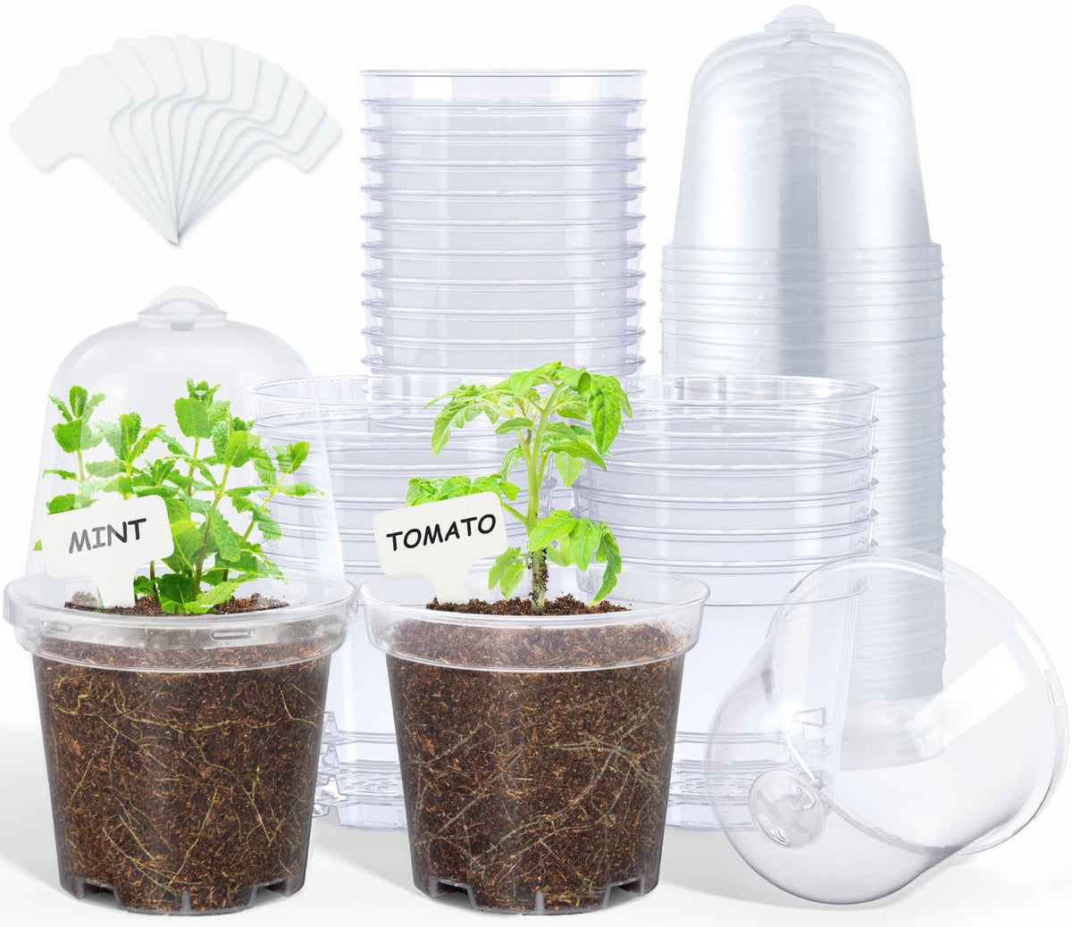 homenote 3/4/5/6.7 Inch Clear PP Nursery Pots with Drainage Holes (36 Pcs)