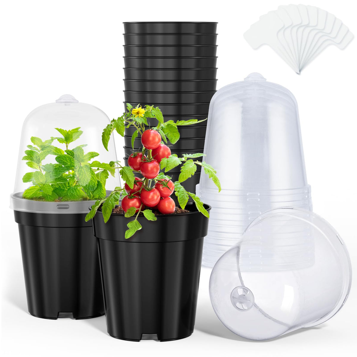 homenote 3/4/5/6.7 Inch Clear PP Nursery Pots with Drainage Holes (36 Pcs)