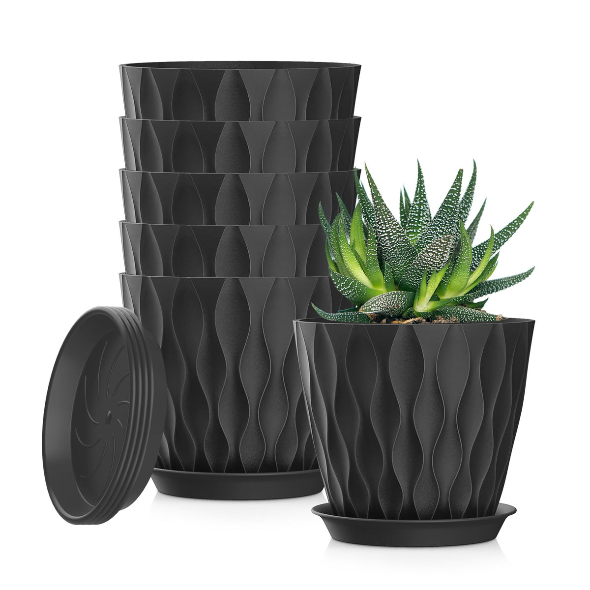 4 Inch Plant Pots, 6 Pack Indoor Flower Pots, Planters with Drainage Holes and Trays for Orchids, Violets, Succulents, Herbs, and Other Plants,Corolful