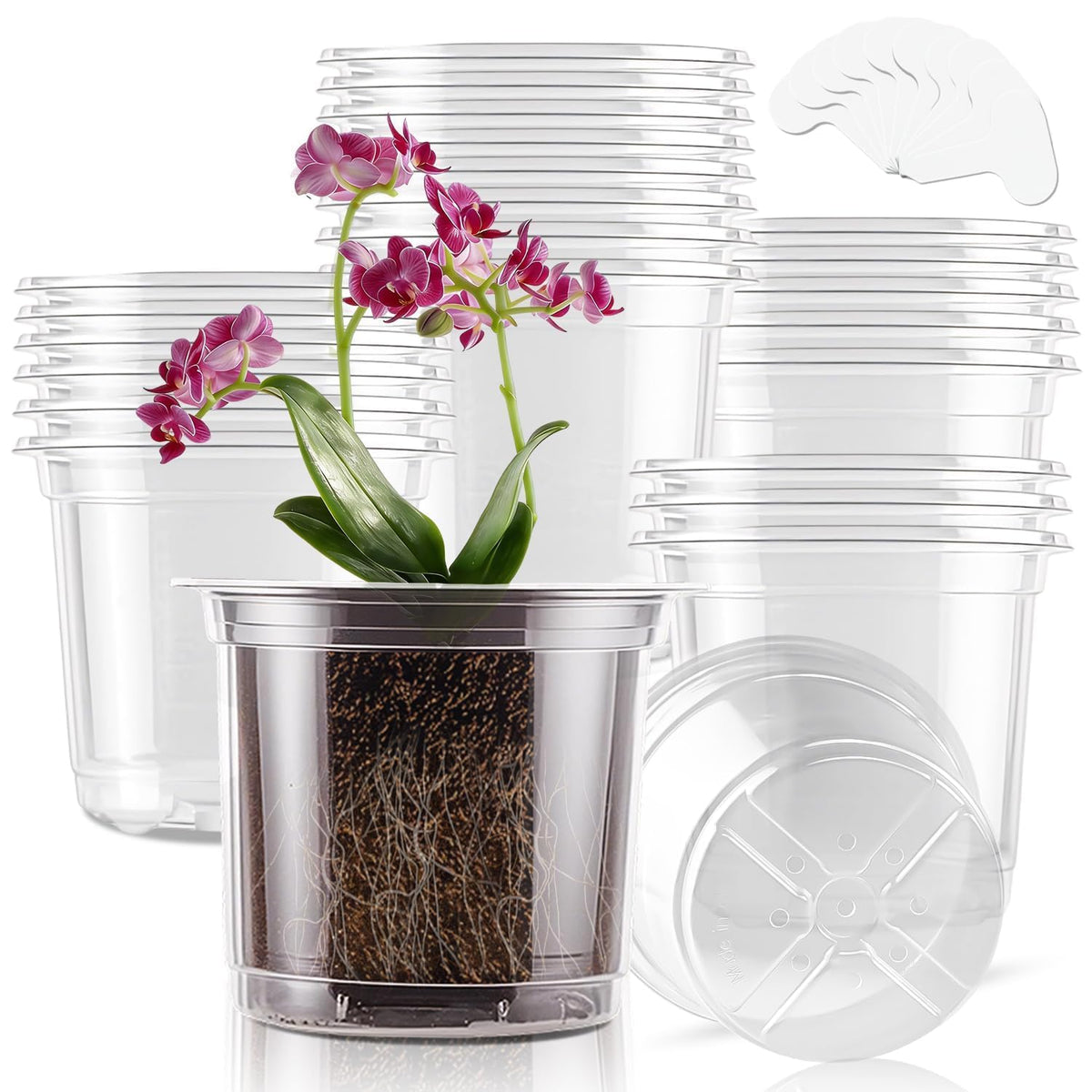 SupKing Clear Nursery Pots 5/4/3.5 Inch Plastic Seed Starter Plant Flower Pot with Drainage Holes for Transplanting Succulents Cuttings Seedlings 15 Labels (12Pcs)