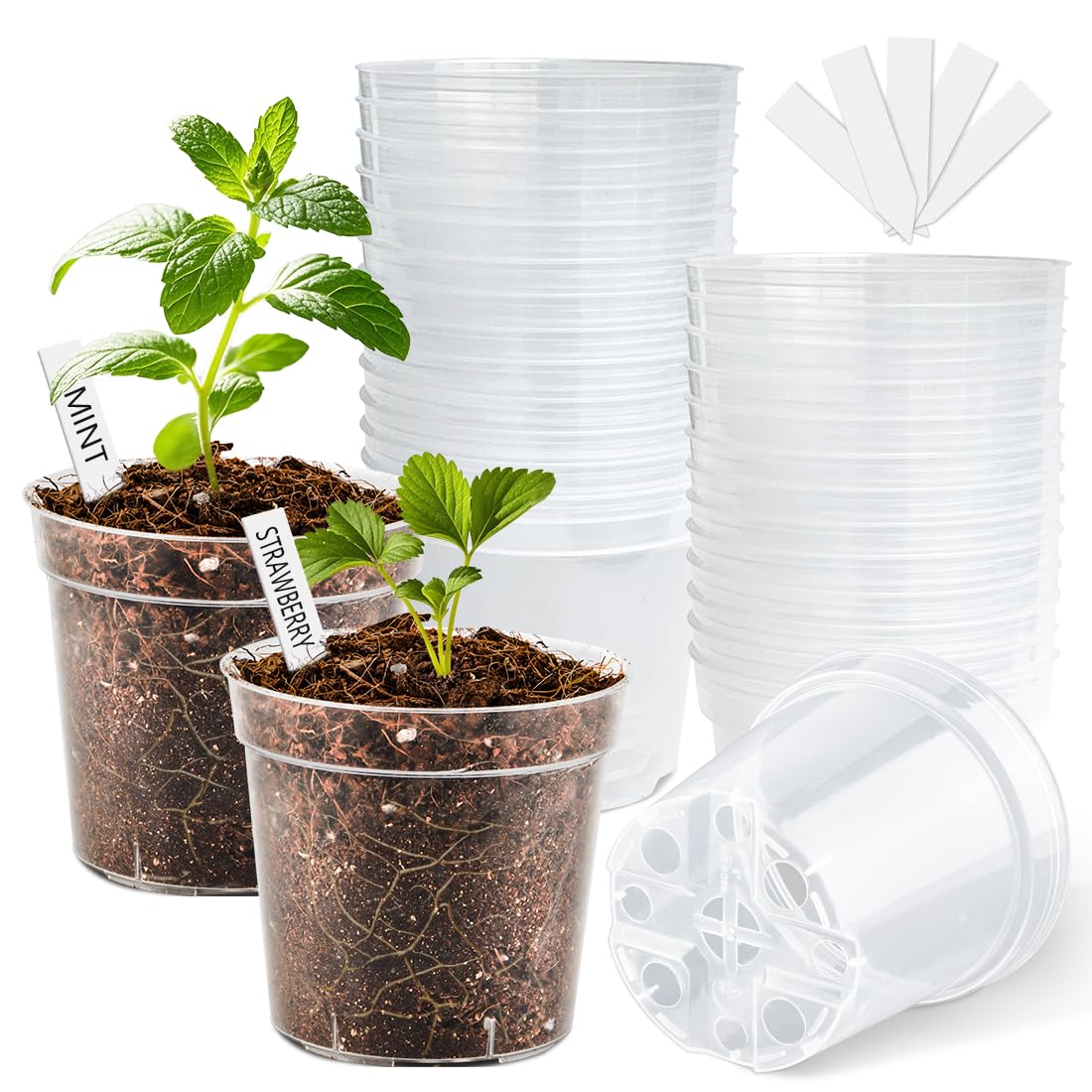 9 Pack 8/7/6 Inch Clear Nursery Pots for Plants with Saucer, Transparent Plastic Plant Pots with Drainage Holes, Sturdy Seedling Starter Pot, Garden Planter Pot for Succulents Flowers Herb Vegetables