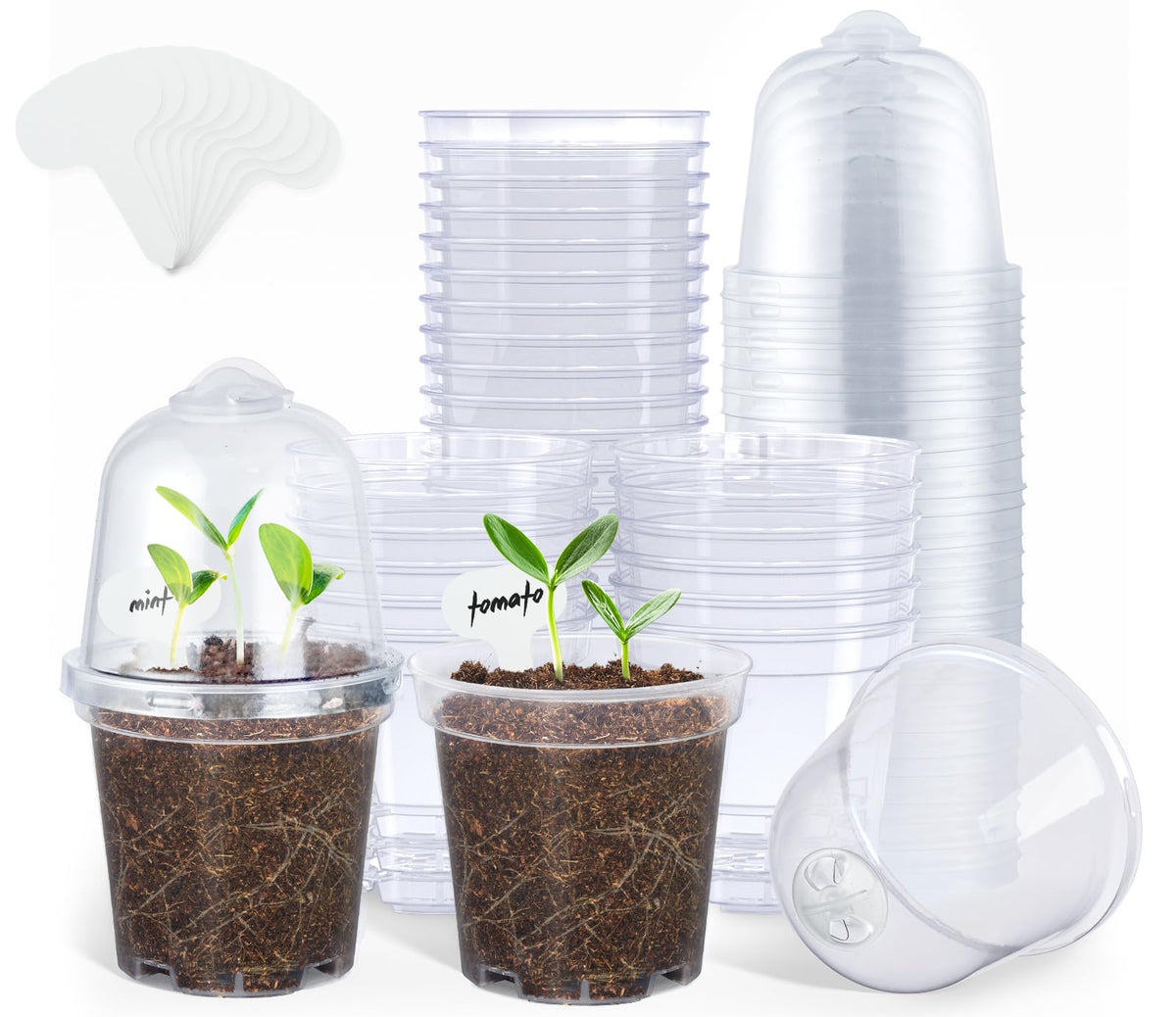 homenote 3/4/5/6.7 Inch Clear PP Nursery Pots with Drainage Holes (36 Pcs)