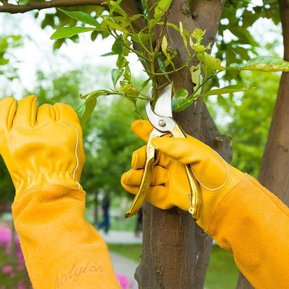 Acdyion Long Thorn Proof Gardening Gloves for Men & Women, Rose Pruning