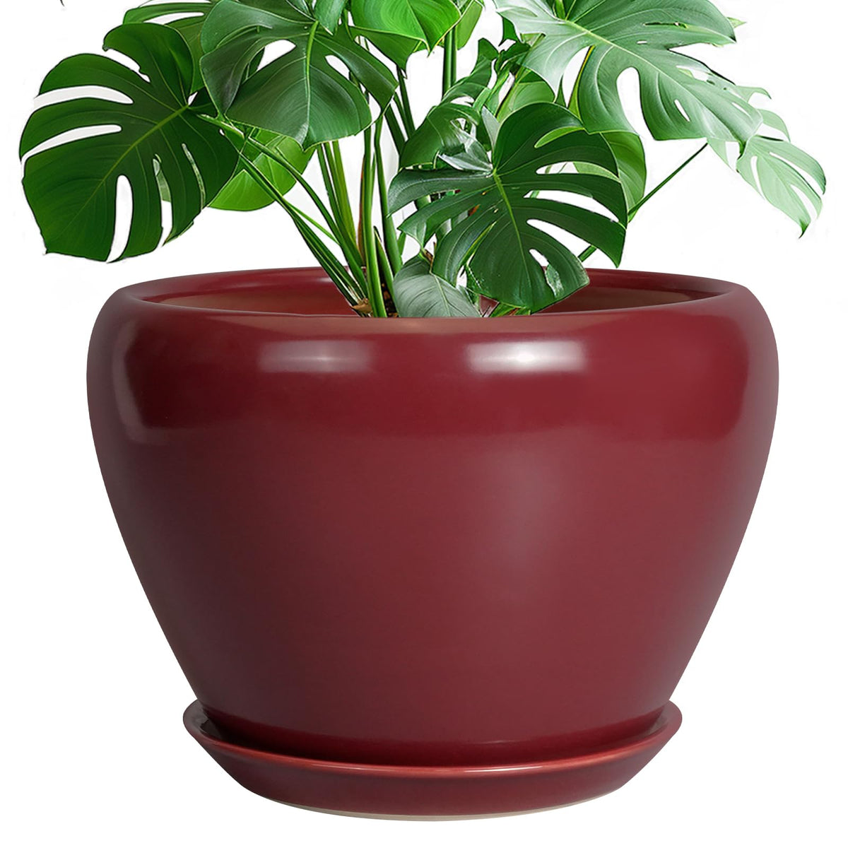 Ceramic Modern Glaze Succulent Planter Pot with Drainage Hole and Saucer 6 Inch Round Flower Plant Pot for Indoor Outdoor Herb Snake Plants