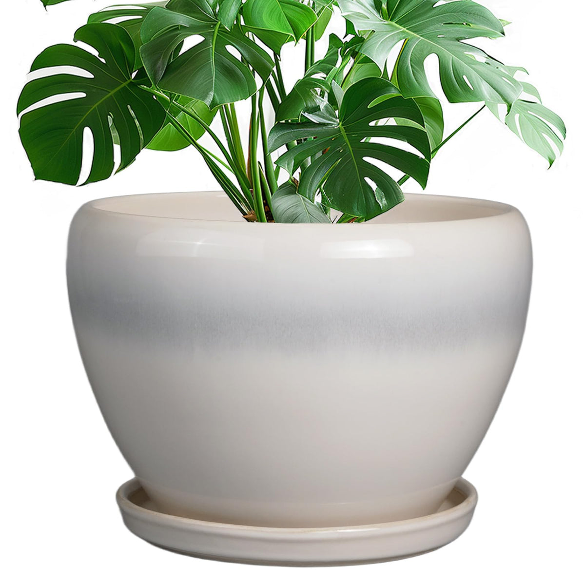 Ceramic Modern Glaze Succulent Planter Pot with Drainage Hole and Saucer 6 Inch Round Flower Plant Pot for Indoor Outdoor Herb Snake Plants