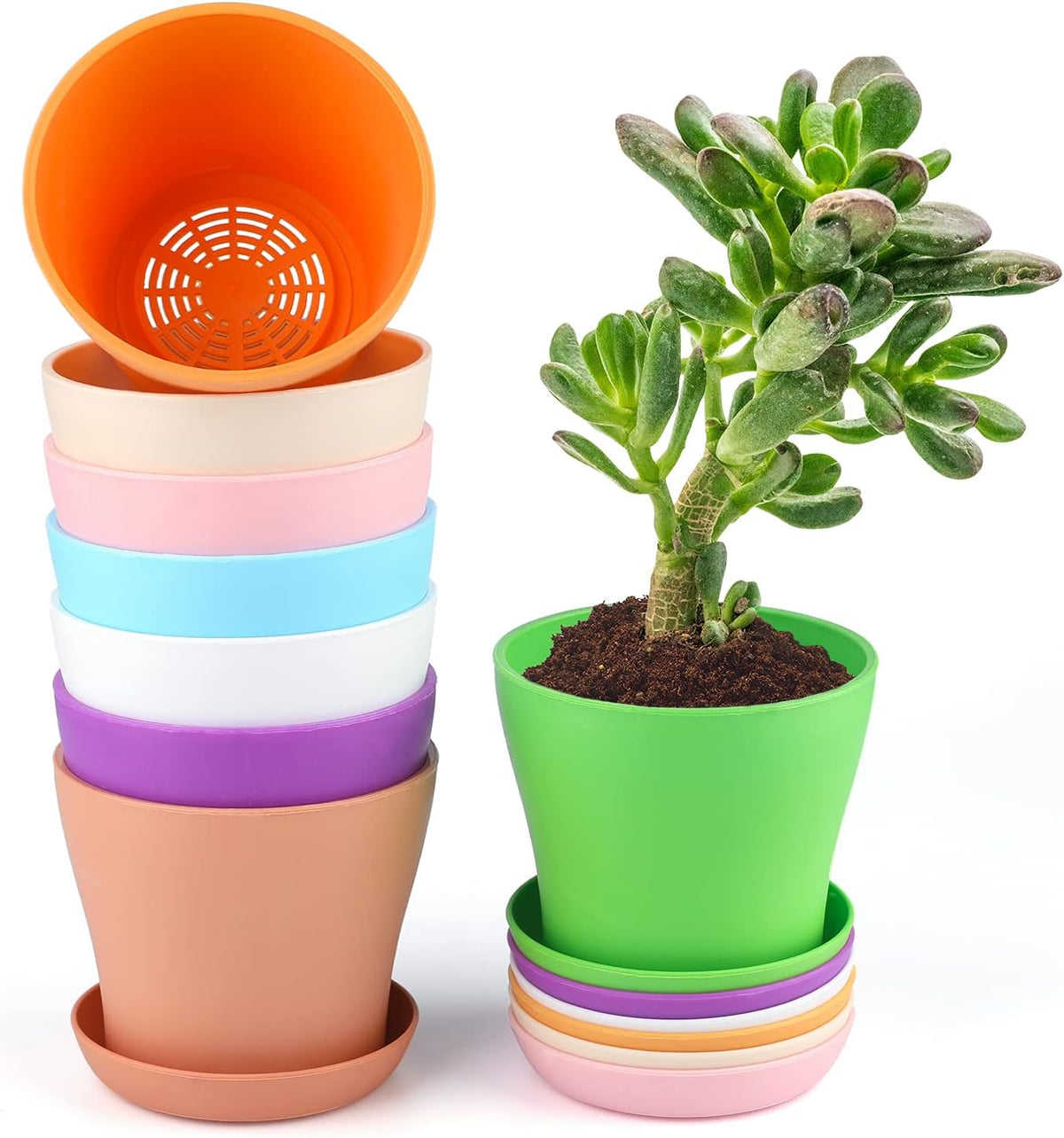 KINGLAKE 8 Pcs 4" Plastic Plant Flower Seedlings Nursery Pot/Pots Planter Colorful Flower Plant Container Seed Starting Pots with Pallet and Drainage Holes for Home Garden Flowers Plants,8 Colors