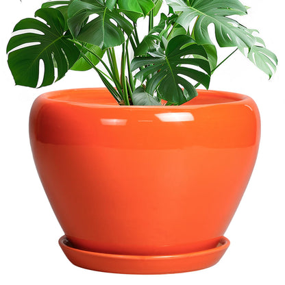 Ceramic Modern Glaze Succulent Planter Pot with Drainage Hole and Saucer 6 Inch Round Flower Plant Pot for Indoor Outdoor Herb Snake Plants
