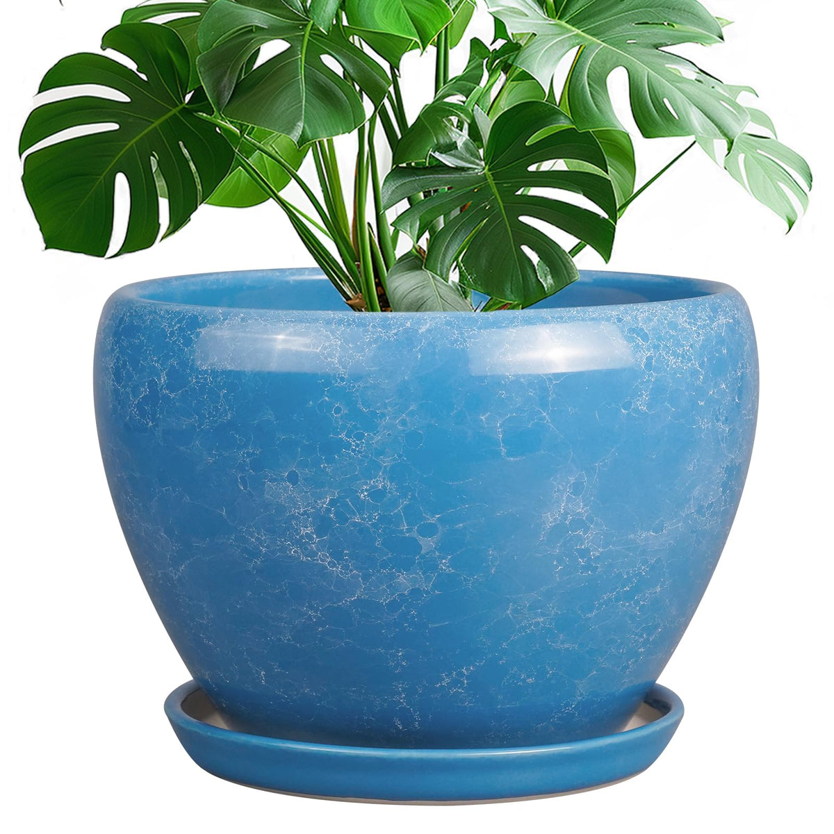 Ceramic Modern Glaze Succulent Planter Pot with Drainage Hole and Saucer 6 Inch Round Flower Plant Pot for Indoor Outdoor Herb Snake Plants