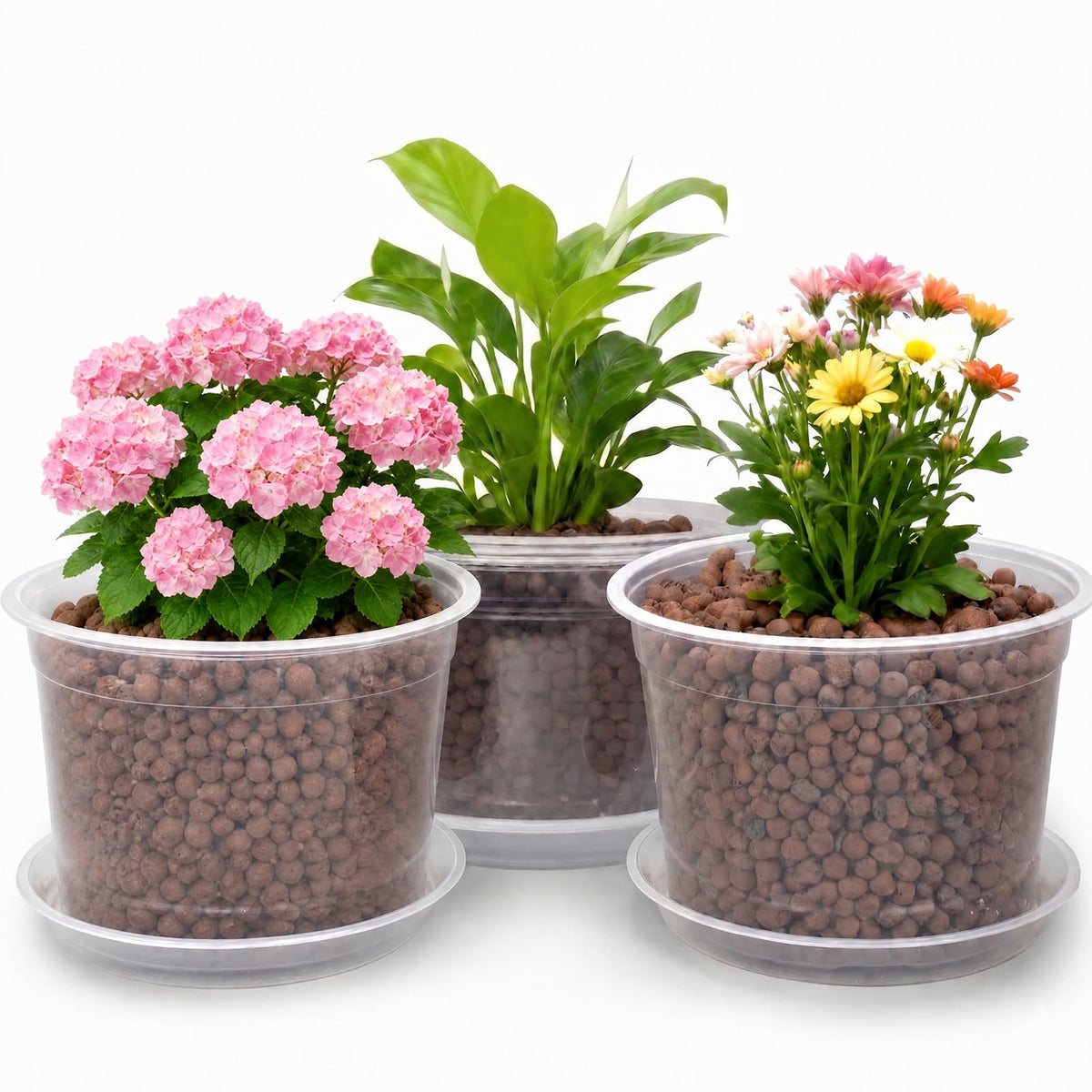 10/8/6/4 Inch Clear Nursery Pots with Drainage Holes and Saucers, 12 Pack Large Clear Pots for Plants Variety Pack, Plastic Nursery Pots for Succulents, Seedings, Herbs, Flowers, Vegetables