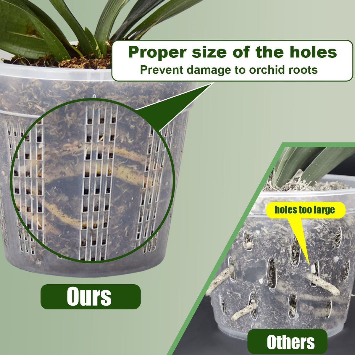 Orchid Pot, 2 Each of 4.3",5.5",6.1" Orchid Pots with Holes, Orchid Pots for Repotting, Plastic Orchid Planter for Indoor Outdoor Plants (2 Each of 4.3",5.5",6.1")