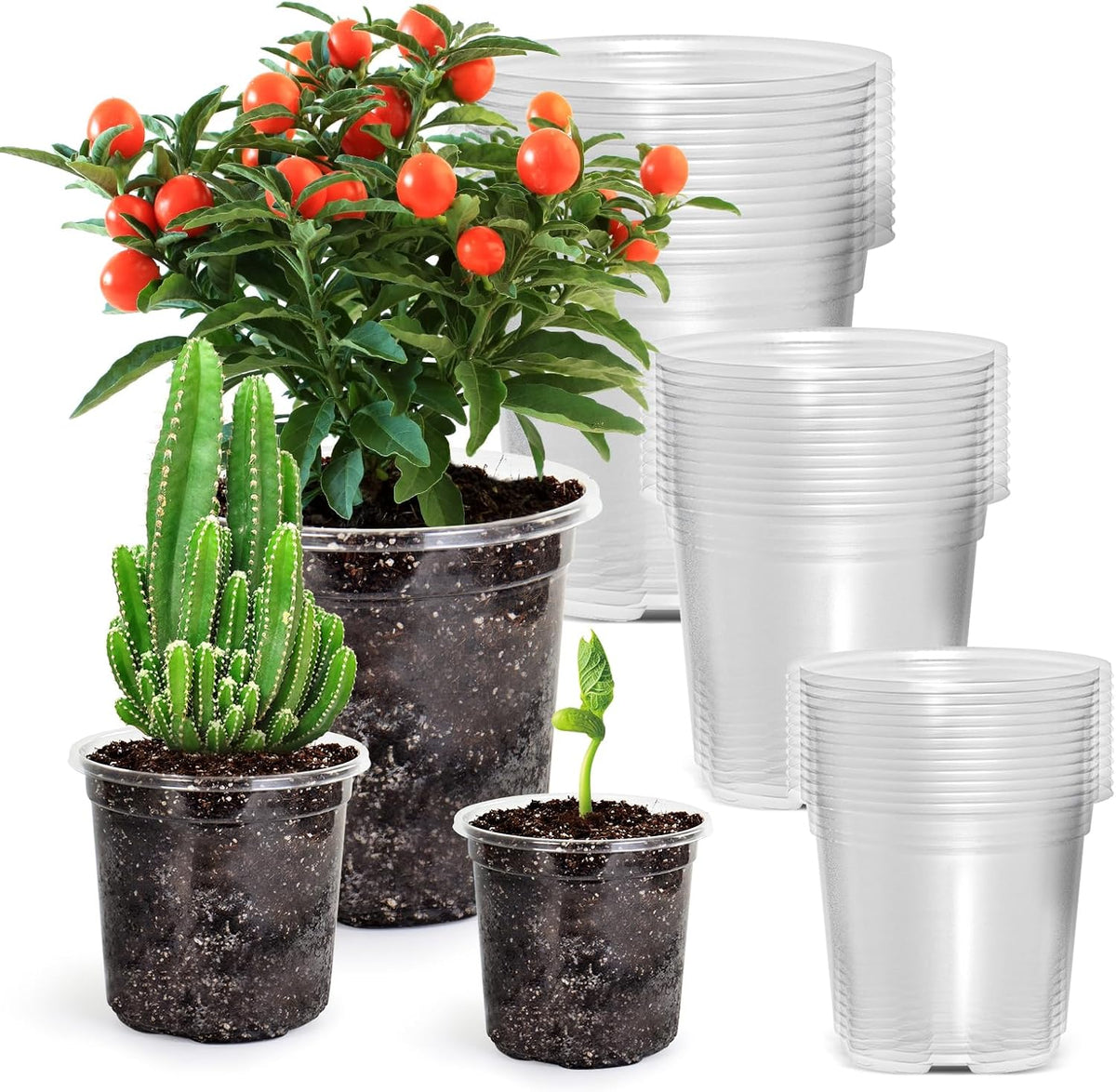 Bluepro Clear Nursery Pots with Drainage Holes, 3.5/4/5 Inch, 36-Pack