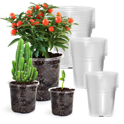 Bluepro Clear Nursery Pots with Drainage Holes, 3.5/4/5 Inch, 36-Pack