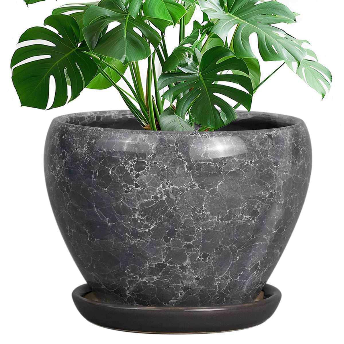 Ceramic Modern Glaze Succulent Planter Pot with Drainage Hole and Saucer 6 Inch Round Flower Plant Pot for Indoor Outdoor Herb Snake Plants