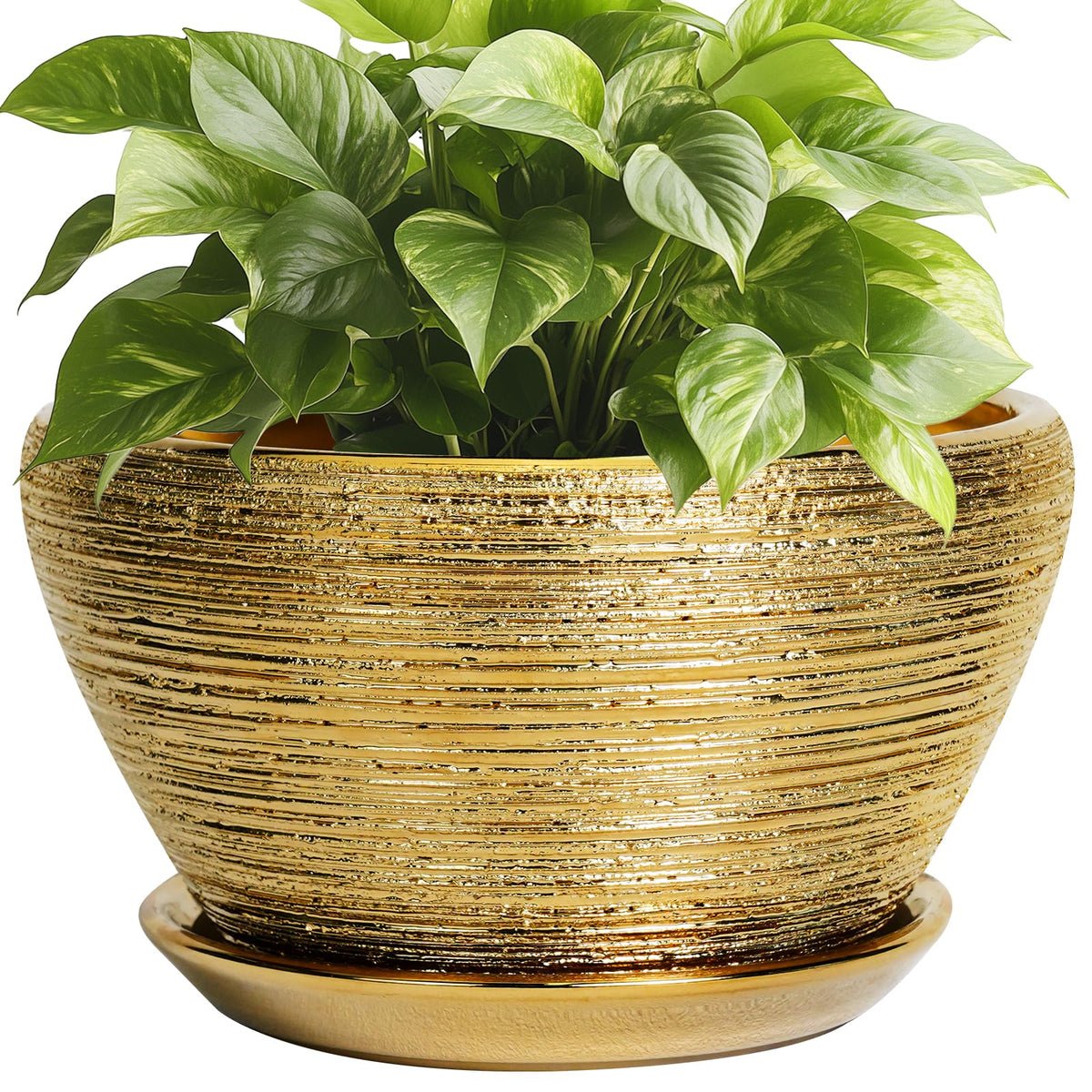 Ceramic Modern Glaze Succulent Planter Pot with Drainage Hole and Saucer 6 Inch Round Flower Plant Pot for Indoor Outdoor Herb Snake Plants