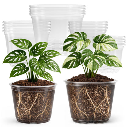 Bluepro Clear Nursery Pots with Drainage Holes, 3.5/4/5 Inch, 36-Pack