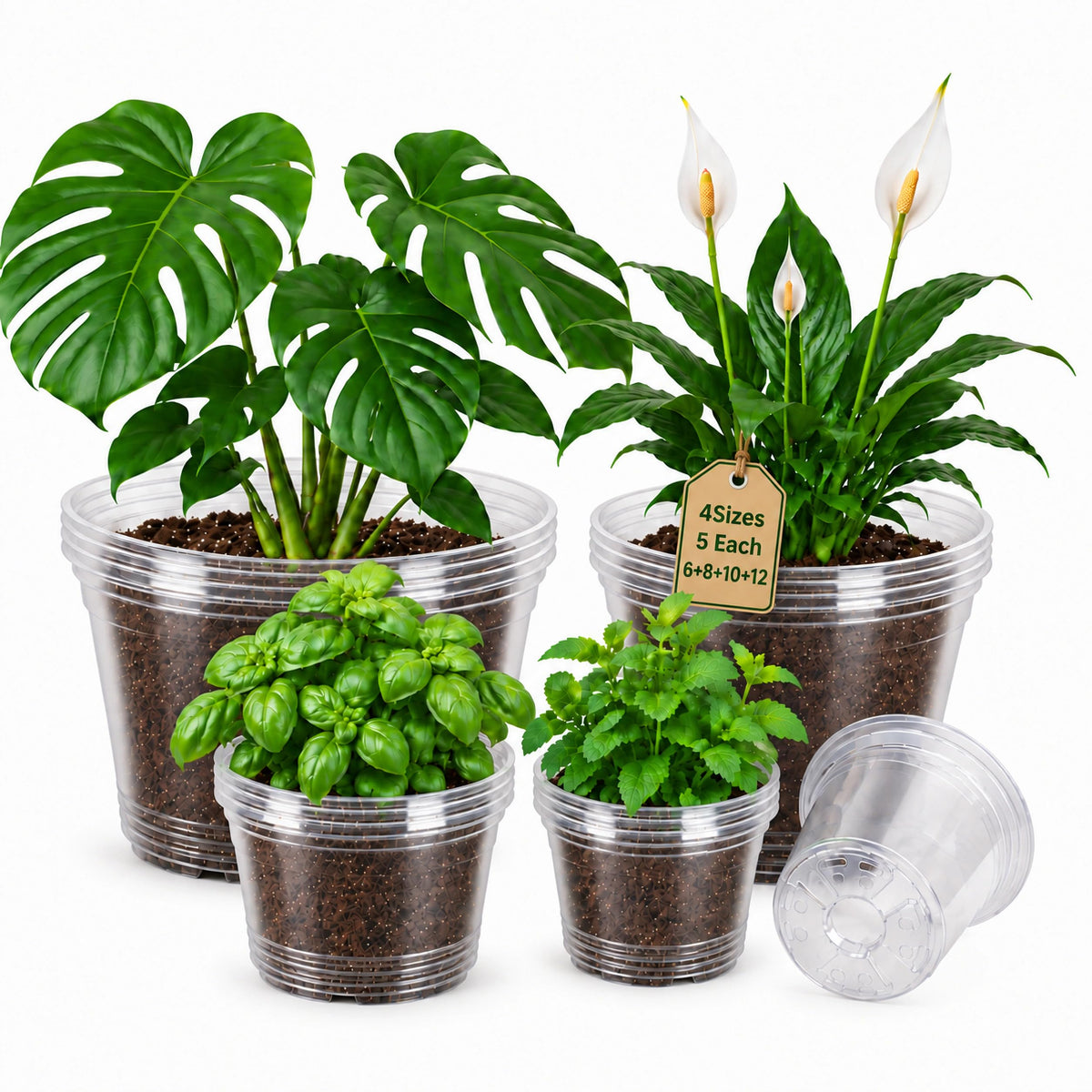 Bluepro Clear Nursery Pots with Drainage Holes, 3.5/4/5 Inch, 36-Pack