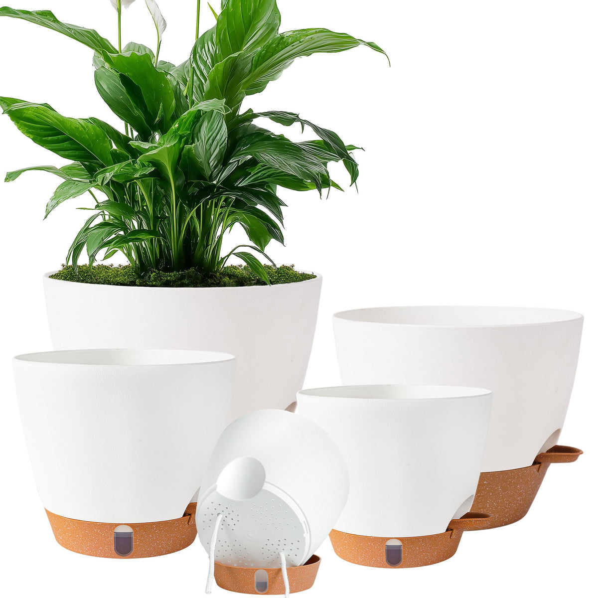 Self Watering Pots for Inoor Ourdoor Plants 8/7/6.5/6/5" Plastic Planters