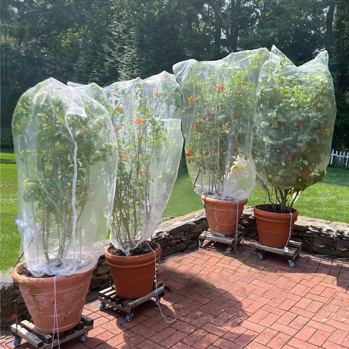 Large Fruit Tree Netting 2 Pack 10x10FT Cover with Drawstring/Zipper- Garden Bird Netting Protect Blueberry Bushes Strawberry from Cicada/Insect/Bug/Squirrel, Plant Netting Cover Pest Barrier
